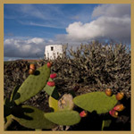Vorratsturm am Monte Corona Silo at Mount Corona