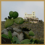 Bodega am Monte Corona Bodega at Mount Corona